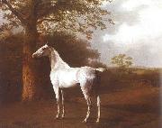 White Horse in Pasture Agasse, Jacques-Laurent